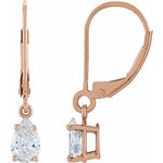 Load image into Gallery viewer, 14K Rose 1 CTW Lab-Grown Diamond Dangle Earrings
